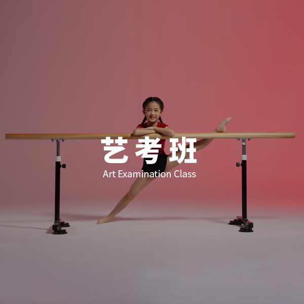 修改-艺考班